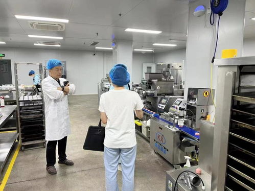 淄博淄川 四個提升助力食品生產企業高質效發展，電子產品技術開發與銷售融合賦能